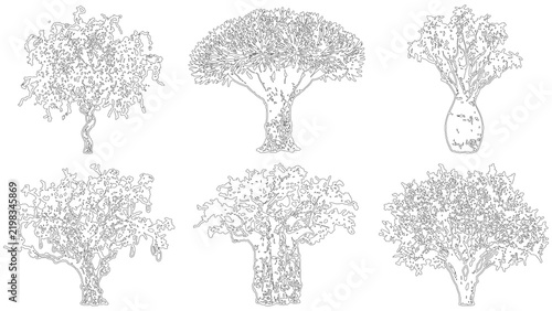 Set of various handdrawn tree silhouettes, detailed black and white line art illustrations of different tree species for design and nature projects isolated on transparent background