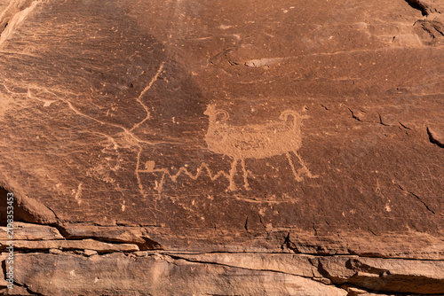 Bild auf Leinwand Ancient petroglyph of a bighorn sheep with curled horns tethered by a rope near