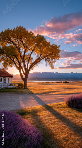Sunset by lake with golden tree