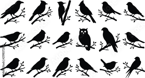 Set of black bird silhouettes on tree branches isolated on white background