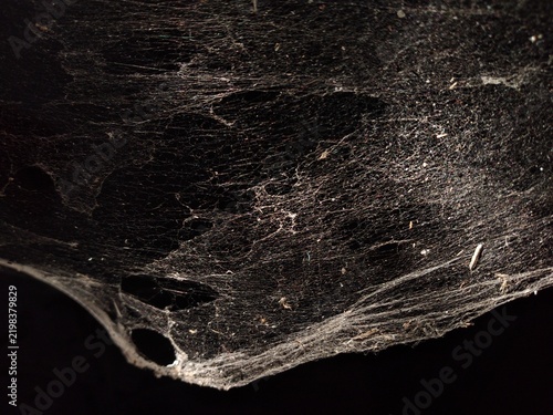 Spooky dusty spider web texture background with holes on dark background 