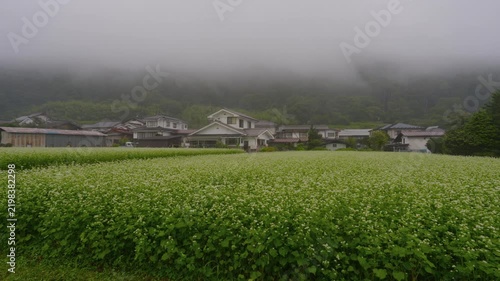 Drizzle and fog over green fields and houses in countryside village - Nagano, Japan
