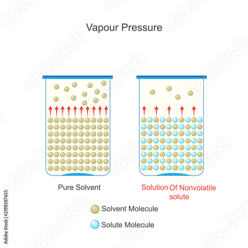 Cuadro en lienzo vapour pressure of pure solvent and solution of non volatile solute