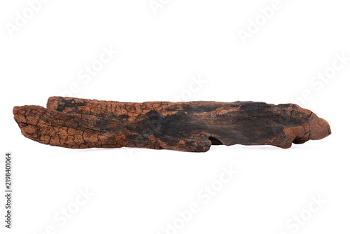 Driftwood aged wood isolated on white background. Piece of driftwood driftwood close up for aquarium.