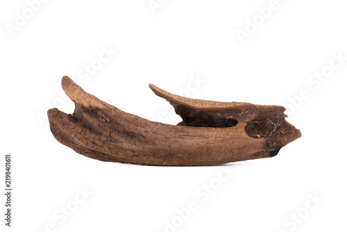 Driftwood aged wood isolated on white background. Piece of driftwood driftwood close up for aquarium.