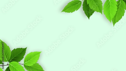 Fresh mint green background with realistic leafy branches framing opposite corners for botanical design