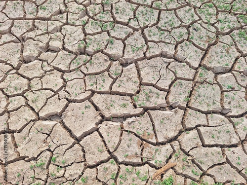 Obraz na płótnie Dried cracked earth with sparse green sprouts in a field after a drought