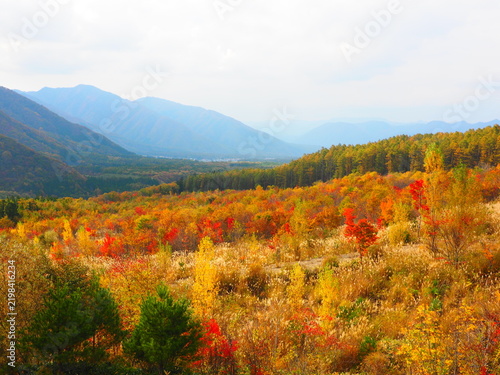 紅葉の山麓と草原 観音沼森林公園から望む山並み