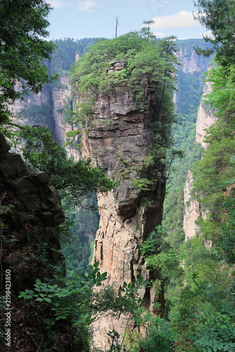 Фотография South Sky Pillar as Avatar Hallelujah Mountain with resilient, ancient trees at