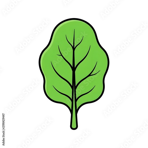 A fresh green spinach or salad leaf illustration with wavy edges and distinct veins, isolated on a white background for food or nature design.