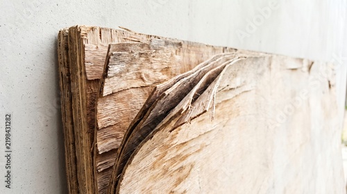 Damp Swollen Plywood With Peeling Layers as Hidden Damage Metaphor
