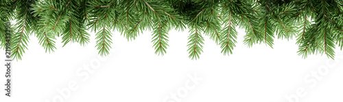 Hanging green pine branches top border banner isolated on transparent background