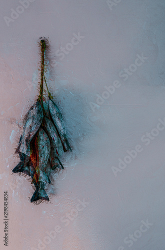 Graphic reworking in comic book style of the catch of the day tied to a rope and hung on the wall. Fishes, fishing, book cover, illustration, drawing, symbolic
