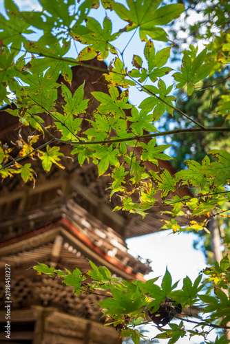 Plakat 紅葉に包まれる寺院