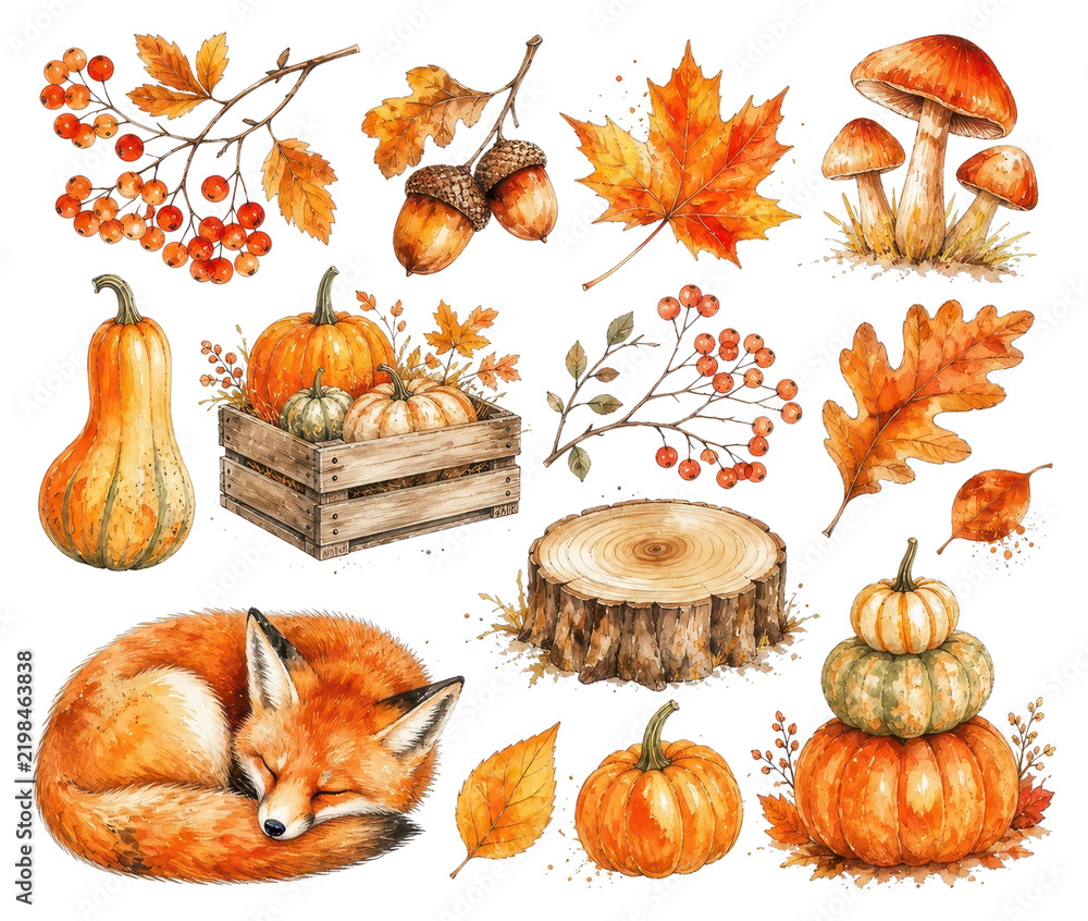 Obraz premium PNG Autumn watercolor set with pumpkins, leaves, mushrooms, fox