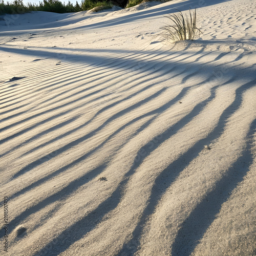 Smooth, warm sand creates a minimalist natural texture.