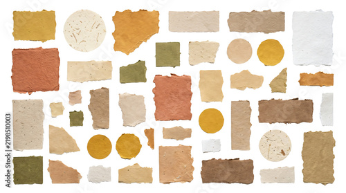 Torn paper scraps and textured shapes set in various earth tones isolated on transparent background