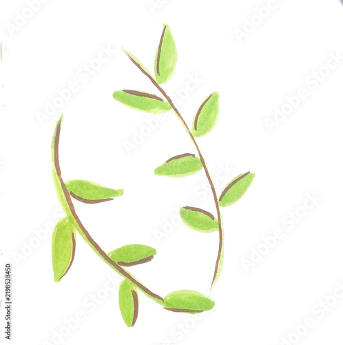 Green leafy branch watercolor botanical illustration isolated on white background