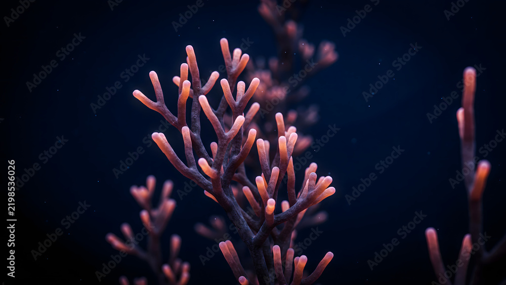 Fototapeta premium Close up of a vibrant red coral branch underwater with soft glowing tips against a dark deep blue ocean background, marine life