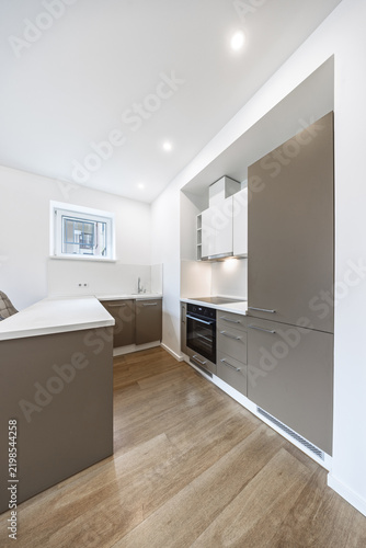 Modern Minimal Kitchen Interior With Built-In Oven, White Countertops And Wood Flooring