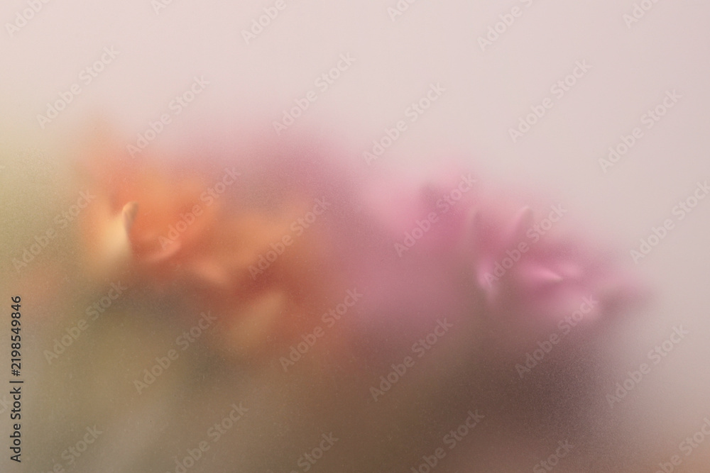 Obraz premium Smoke selected soft focus autumn chrysanthemum aster Flower through translucent matte frosted glass. Abstract natural blurred grain light fog background.