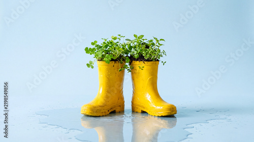 Rubber boots filled with plants on a light background