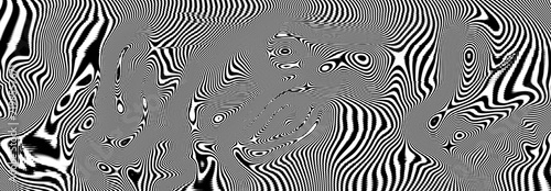 Obraz na plátně Abstract Black and White Zebra Stripes Distorted with Op Art Illusion