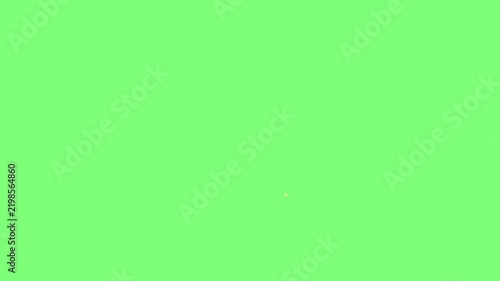 Green screen backdrop provides copy space for video editing.