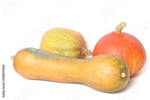 Squash on a white background
