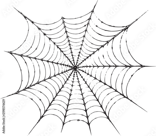 Detailed spider web with dew drops isolated on white background, spooky Halloween and nature design element
