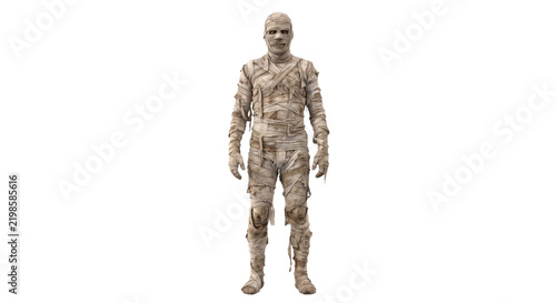 Fotografie Full body view of an ancient Egyptian mummy wrapped in weathered linen bandages
