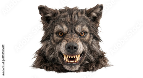Fotografie Fierce werewolf mask with realistic fur texture and snarling expression on white