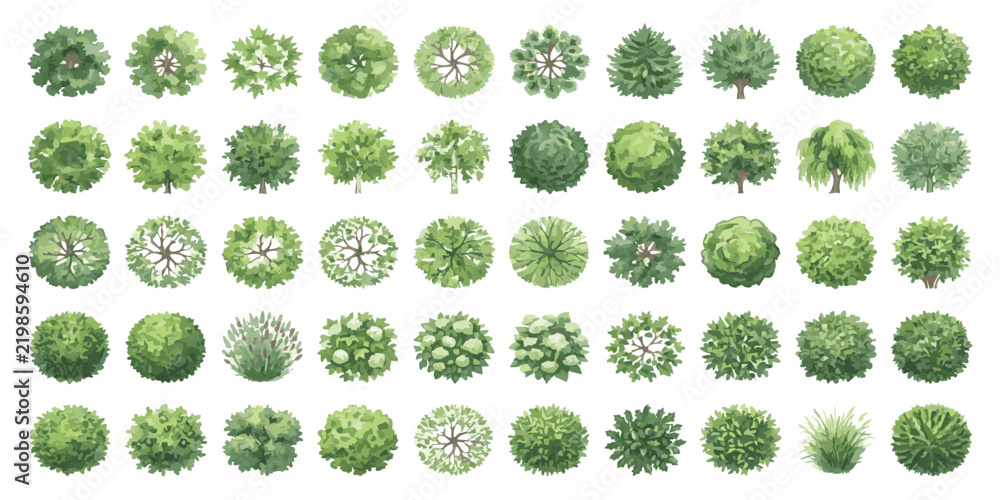 Obraz premium Set of various green trees seen from above for architectural landscape design and garden planning projects