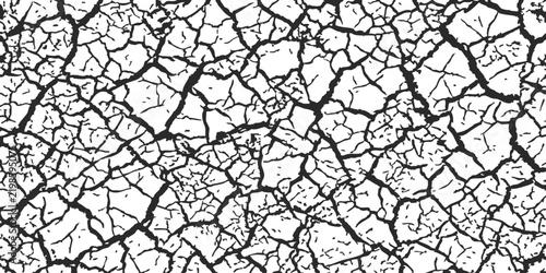 Black and white dry cracked mud texture showing a detailed pattern of parched earth ground surface design