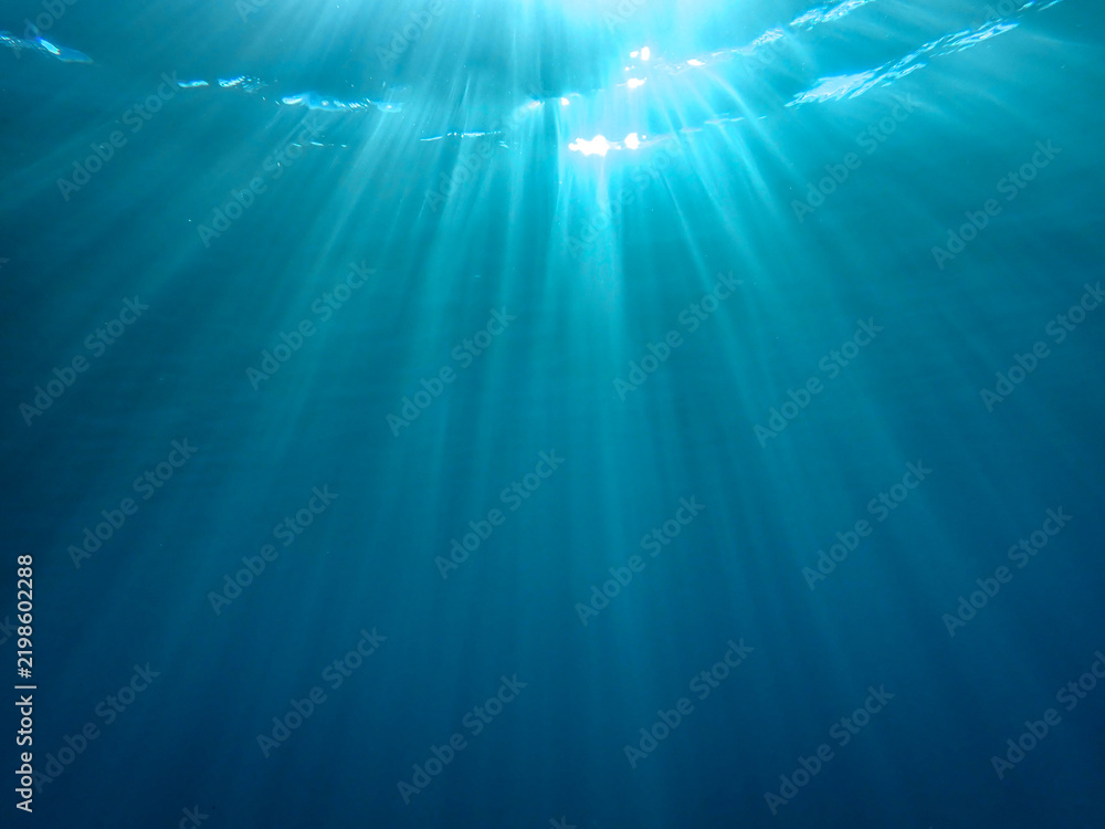 Obraz premium sea, underwater, sunlight, water, background, ocean, under, wave, blue, deep, undersea, light, rays, diving, marine, sun, abstract, surface, clean, texture, sunbeam, dark, clear, nature, aquatic sea.