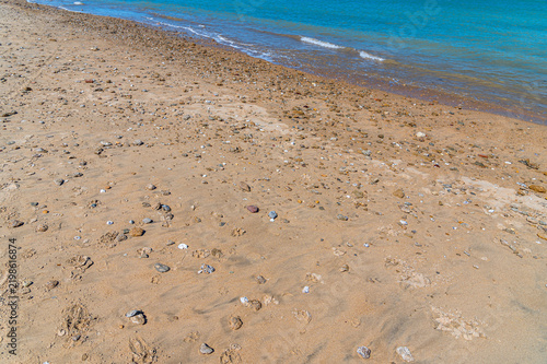 Beach detail with small rocks and seashells on sand