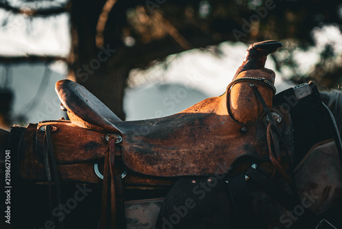 closeup of leather western saddle on horse