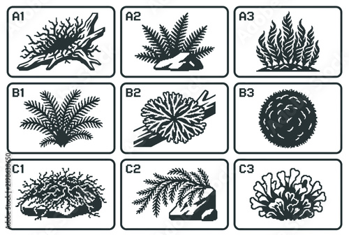 Botanical grid of moss and plant species sketches for scientific identification and ecological studies.