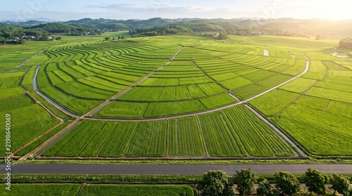 Aerial view of spider web shaped rice terraces in vietnam