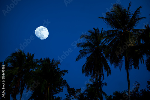 Full moon in deep blue evening sky above tropical palm trees