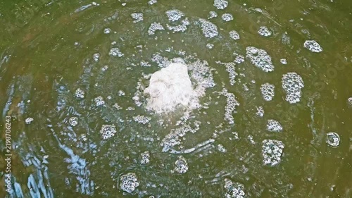 Bubbling water surface with foam and aeration ripples in green pond