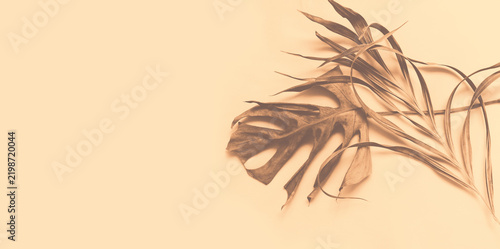 Minimalist dried floral arrangement in muted tones, boho flat lay with color-toned dried plants, serene botanical composition with soft lighting. Autumn interior decor