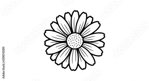 Detailed illustration of a single flower.