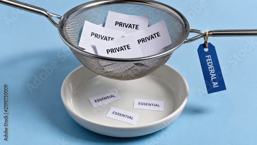 Filtering Private and Essential Information with Federal AI Concept