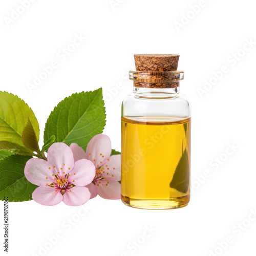 Small glass bottle of essential oil with fresh apple flowers isolated on white background