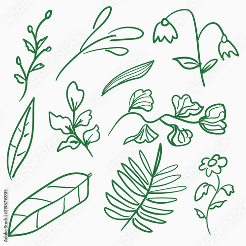 Hand Drawn Botanical Leaves and Flowers Set for Nature Floral Decor Framing and Craft