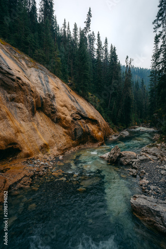 Ochre coloured limestone slabs beside Johnston Creek under spruce forest in Banff National Park, Alberta