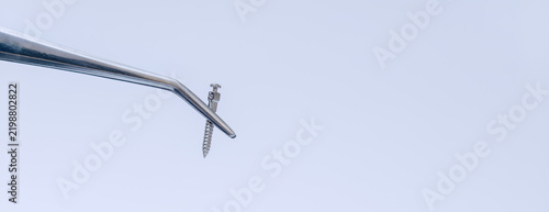 Orthodontic mini implant screw held with dental tweezers for temporary anchorage device placement and modern orthodontic treatment
