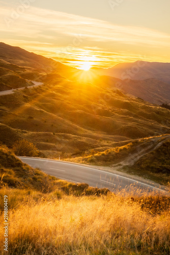 Принти на полотні Golden sunset burst over a winding mountain road and tussock hills, New Zealand