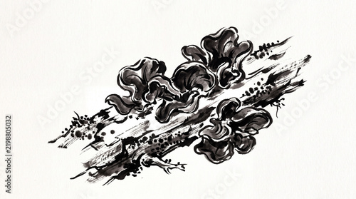 Traditional Japanese watercolor illustration of wood ear mushrooms on white background with copy space